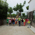 bambini davanti alle giraffe