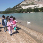 I bambini danno da mangiare il pane al cigno.