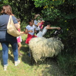 La capretta Stellina non ci abbandona neanche per un attimo!