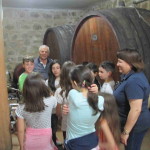 Che profumo di mosto: è la cantina!