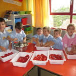 Passiamo i pomodori con il passaverdure...