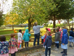 in-giardino-per-osservare-gli-alberi-dalla-chioma-autunnale