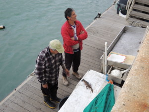 Civitanova Marche - i pescatori mostrano l'astice ai bambini