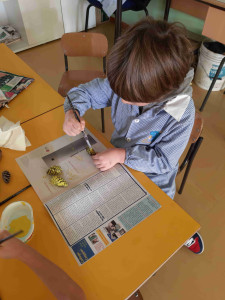 COLORIAMO LE PIGNE PER FARE LE PECORELLE