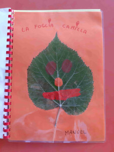 LA-FOGLIA-CAMILLA-RACCOLTA-NEL-GIARDINO-DELLA-SCUOLA