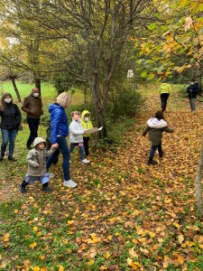 Osserviamo l'autunno...