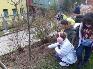 ...al giardino delle farfalle.